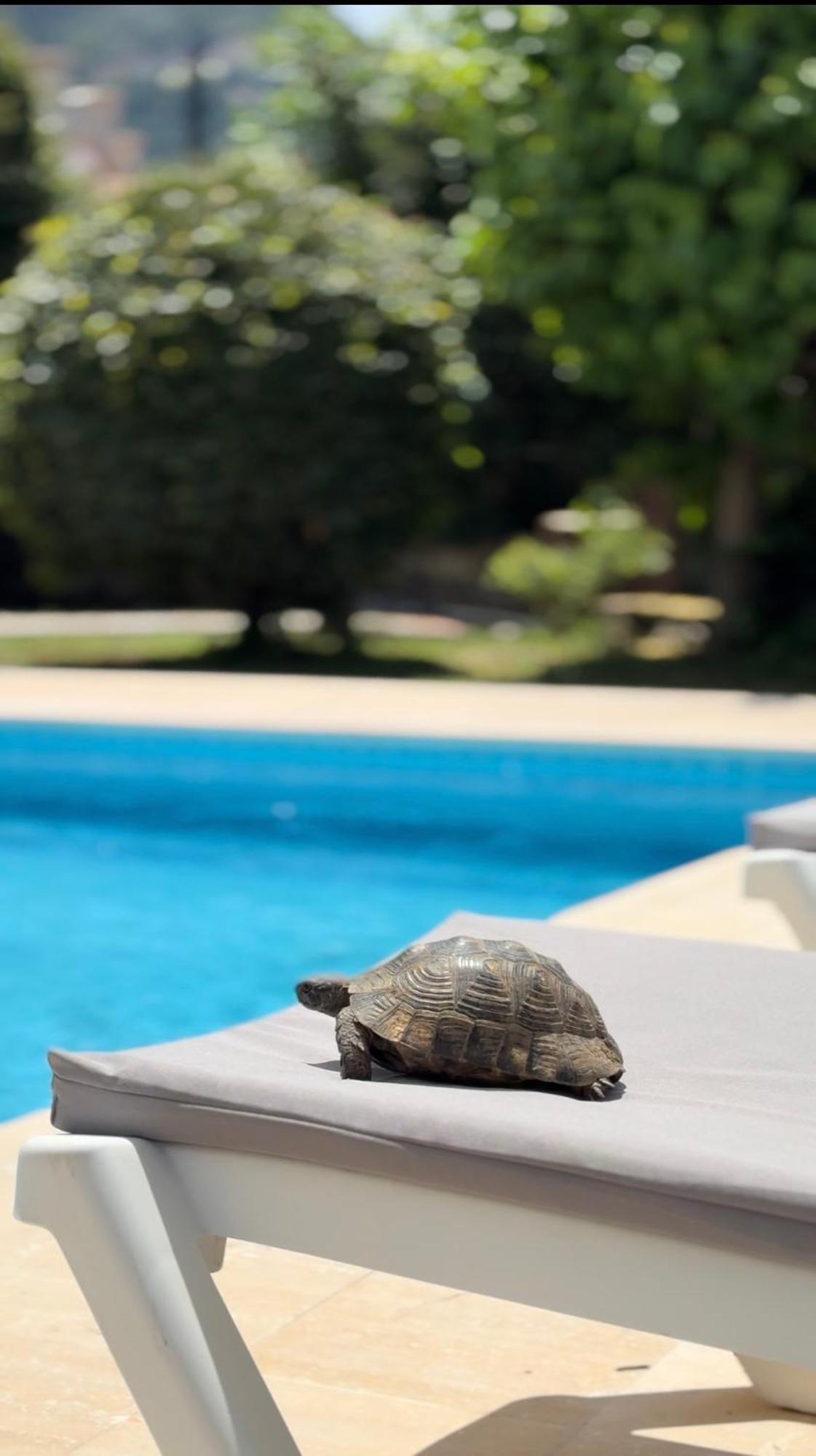 Villa Xanthos 301 Oludeniz Bagian luar foto